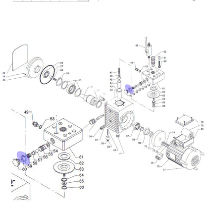 Dichtungsring