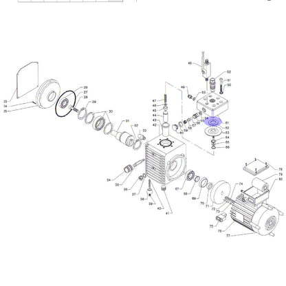 Einlage