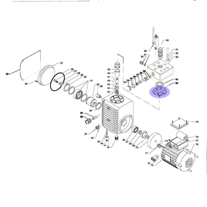 Membrane