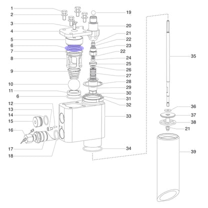 Dichtung - für Sitz & Deckel