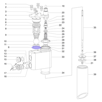 Dichtung - für Sitz & Deckel